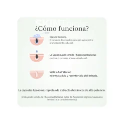 Limpiador de poros Dr. Althea Premium Quick Step Sebum Cleanser